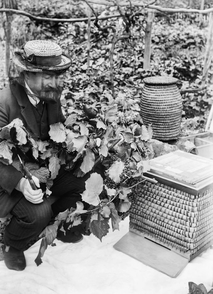 Un expert reconnu de l'apiculture