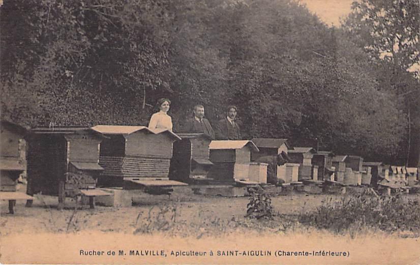Portrait insolite de M. Malville: une complicité animale inattendue