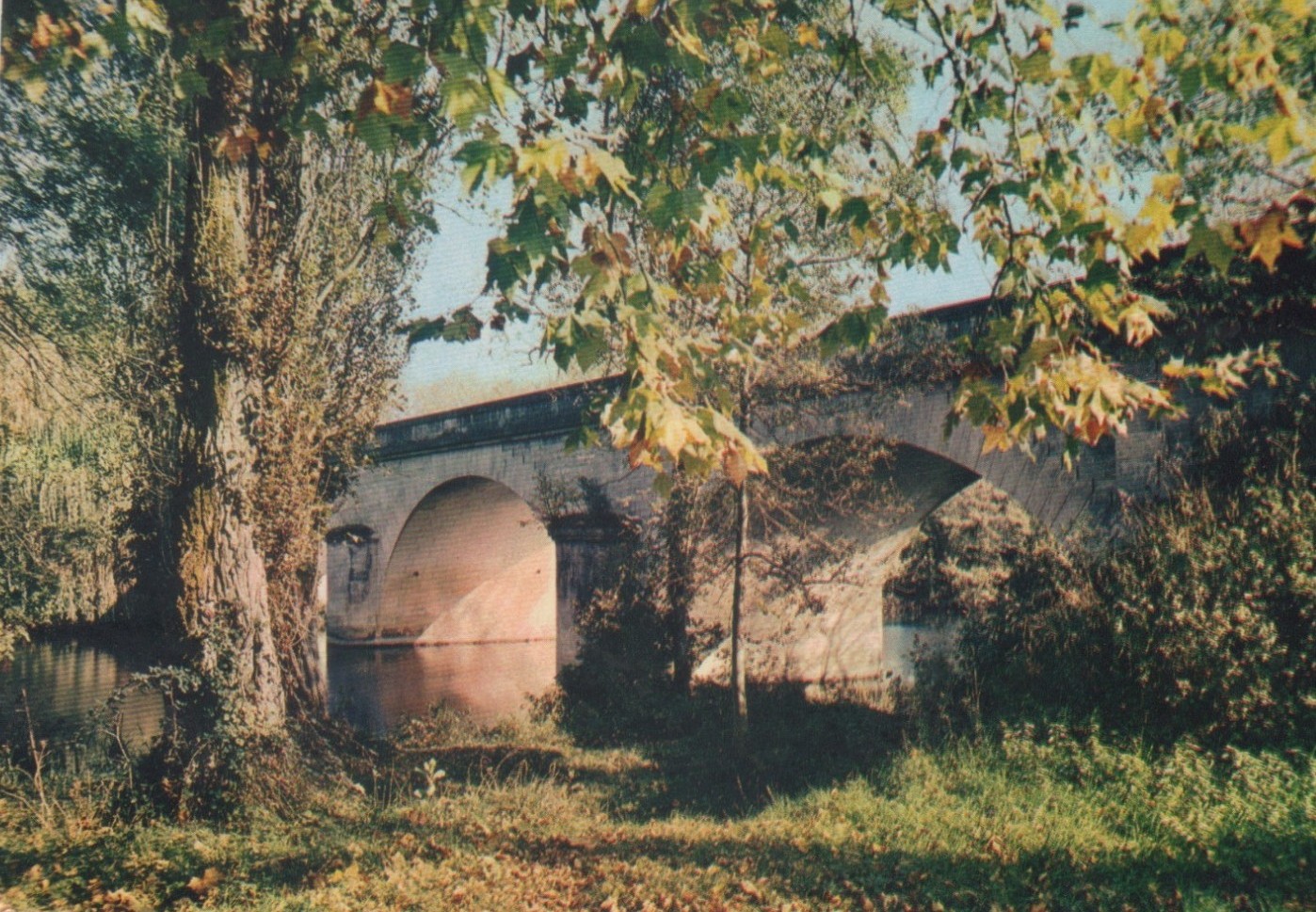 Photographie d'archive